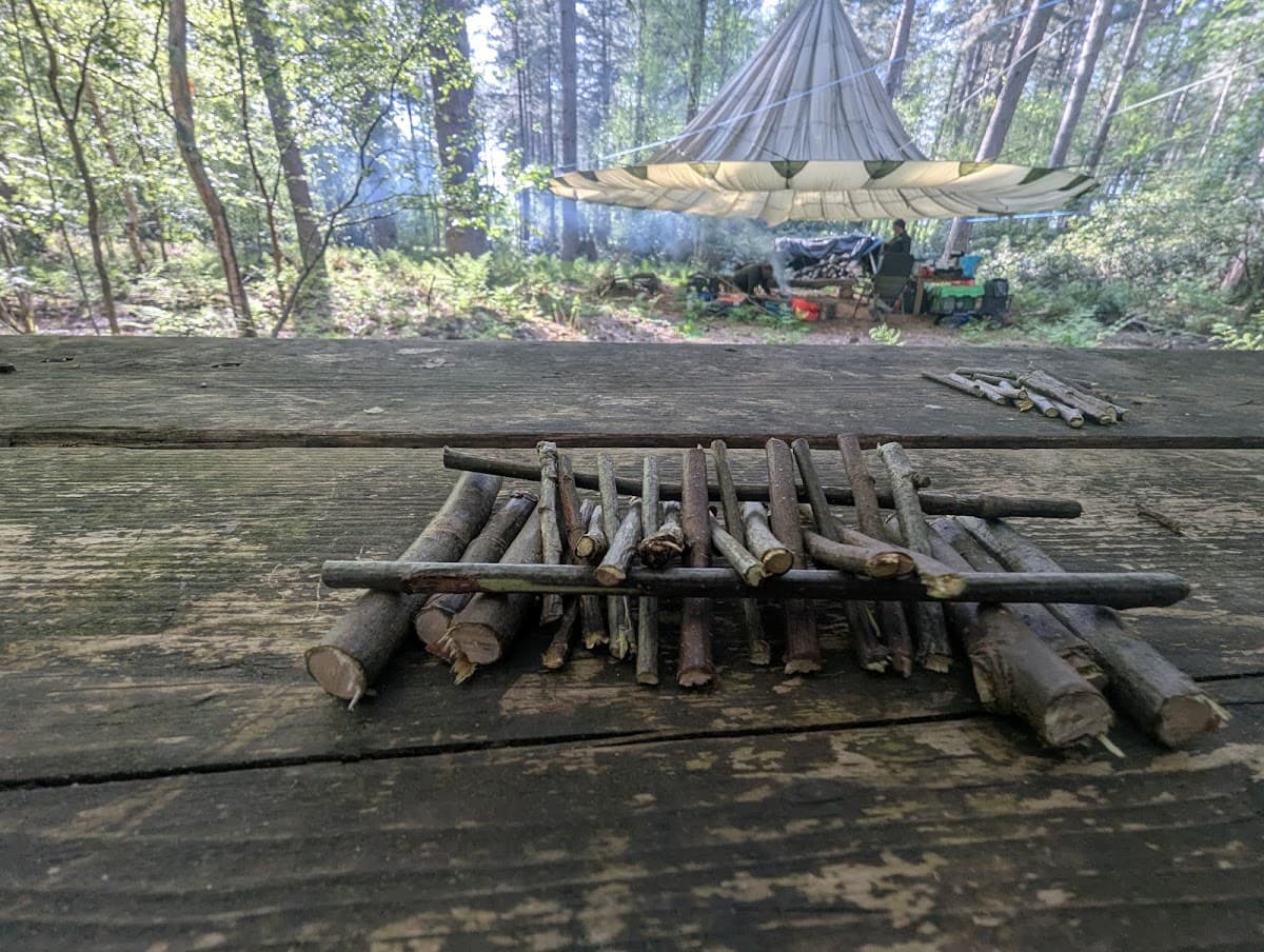 A Little Bit Wilder Forest School - Activity
