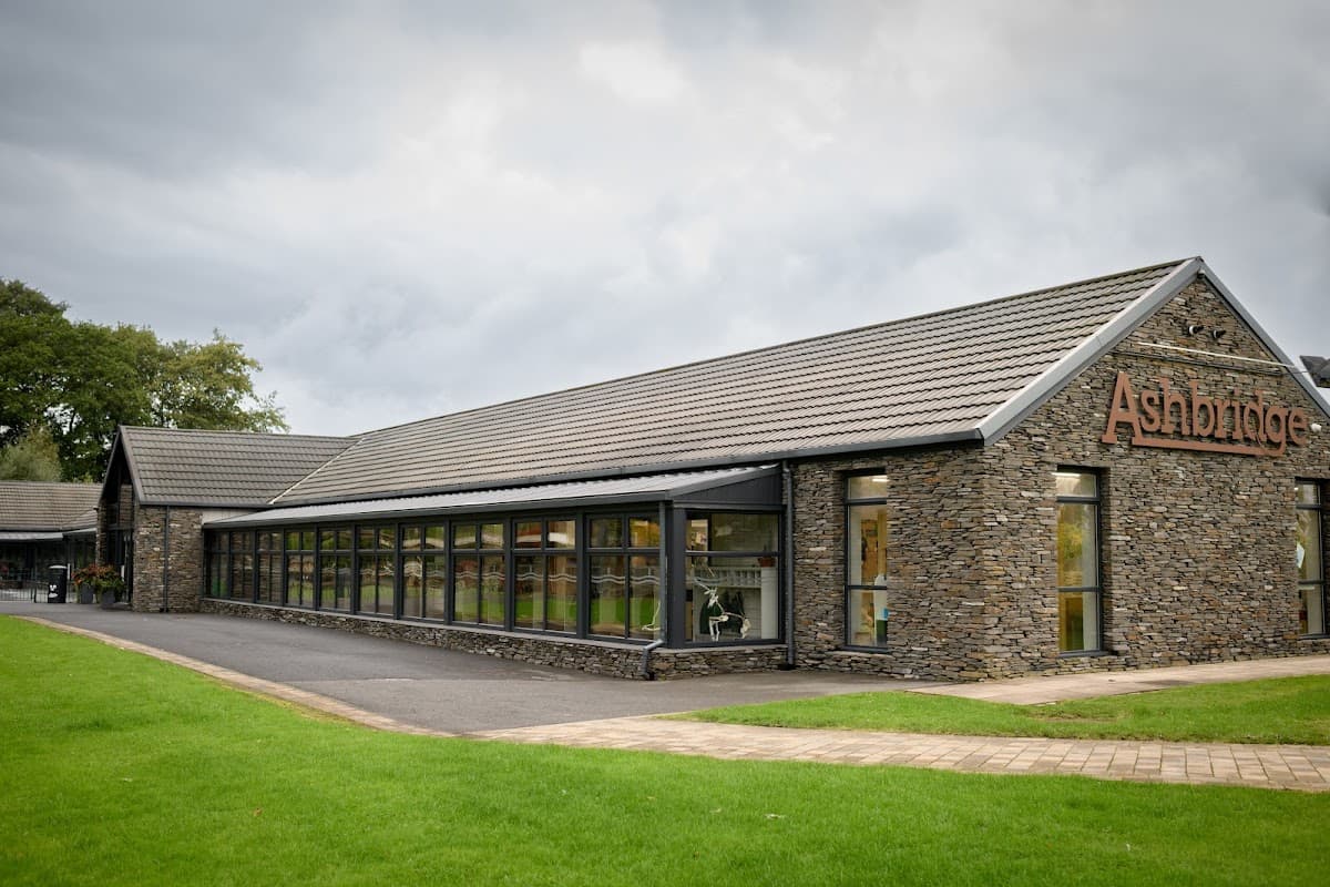 Ashbridge Independent School and Nurseries - Activity