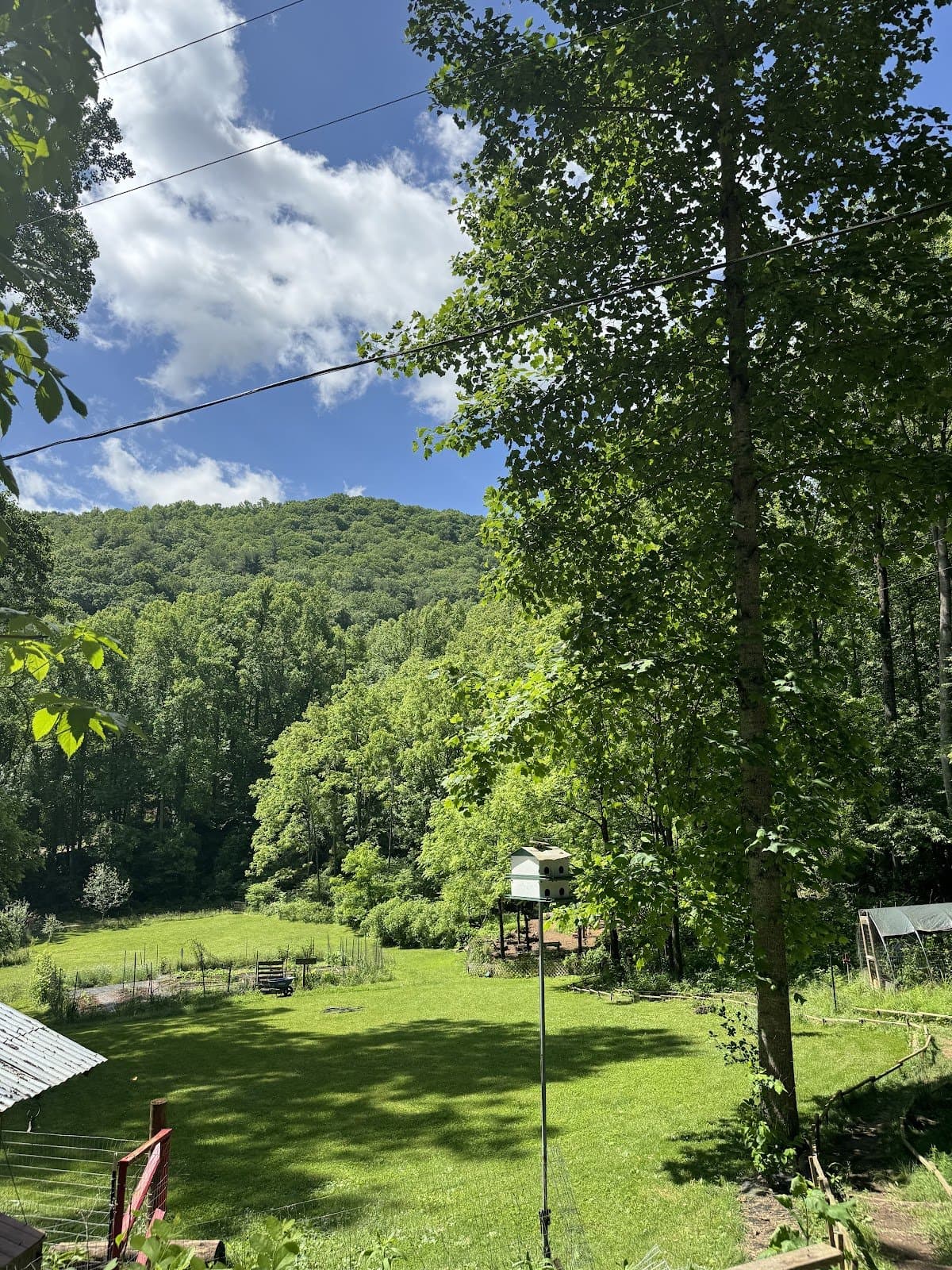 Asheville Farmstead School - Activity
