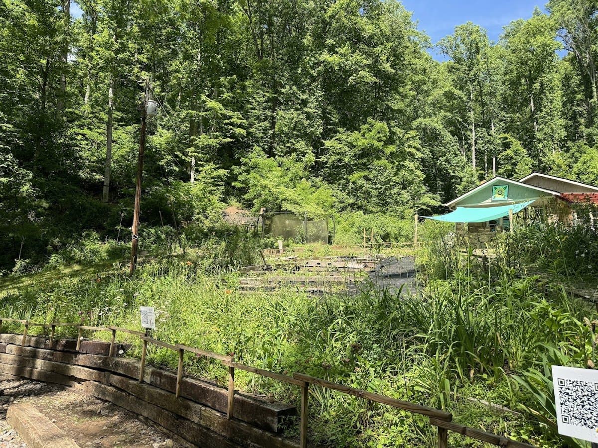 Asheville Farmstead School - Atmosphere