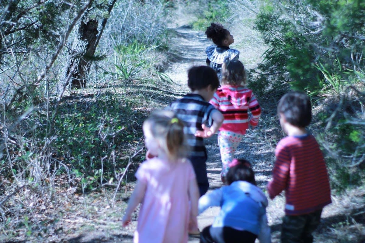 Austin Forest School - Hero/Card