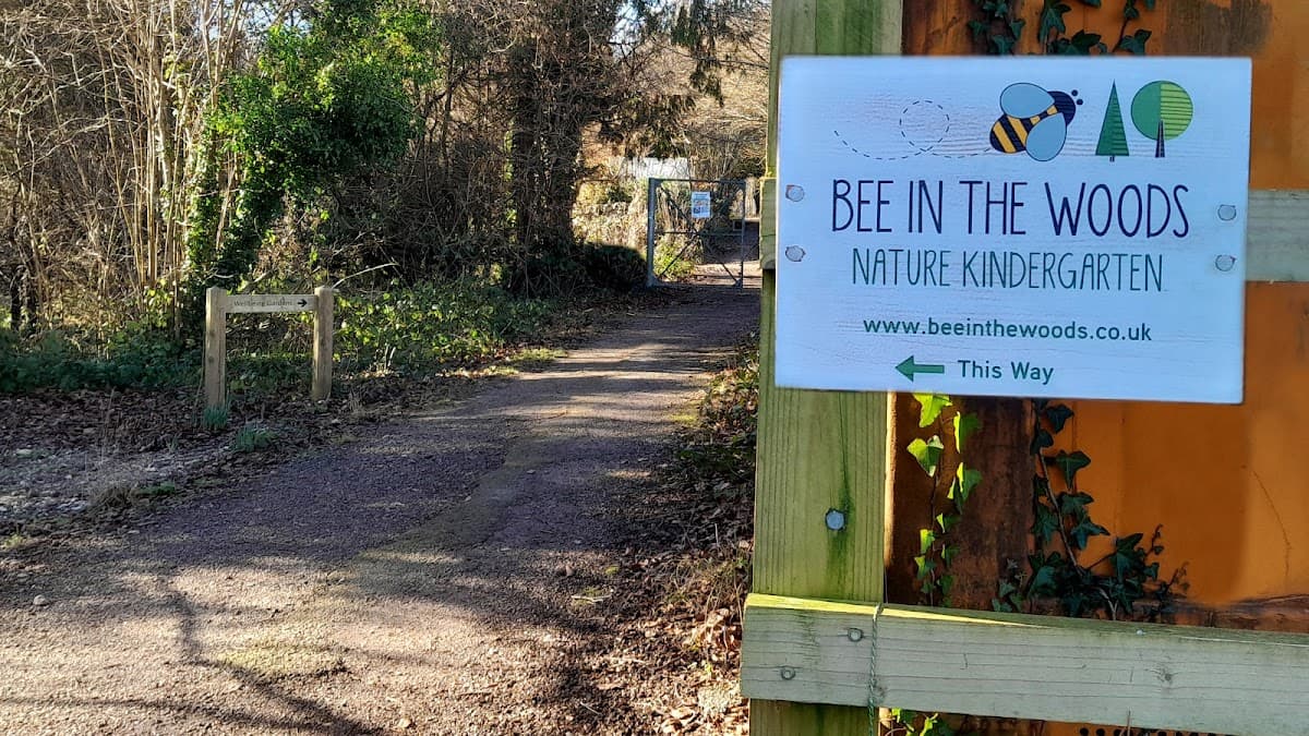 Bee in the Woods Kindergarten - Hero/Card