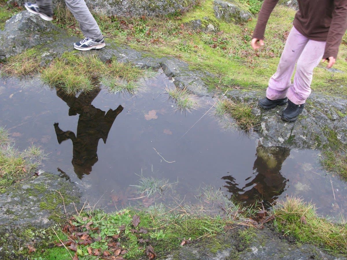 Bioregional Forest School - Atmosphere
