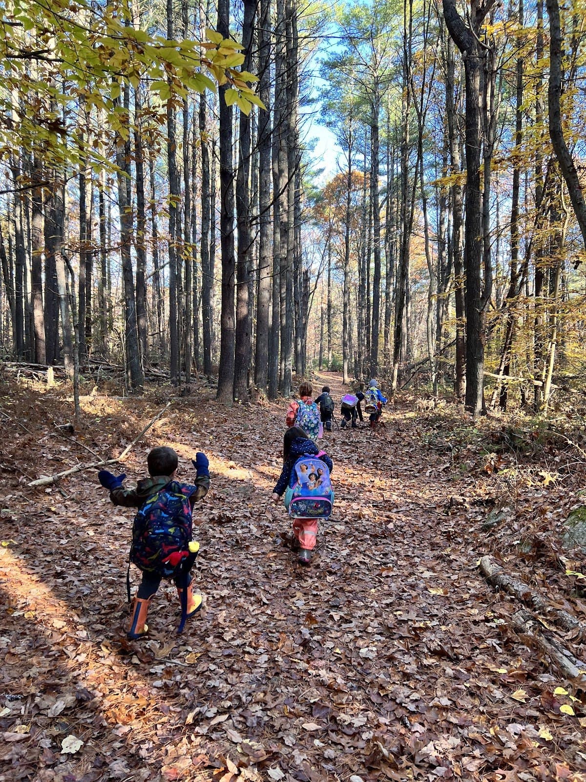 Bowker Hill Nature School - Activity