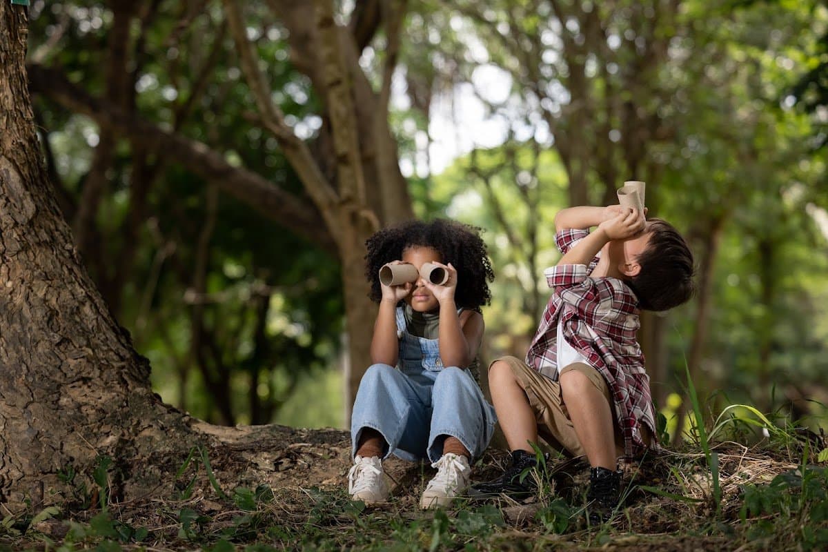 Brave Nature Collaborative - Hero/Card