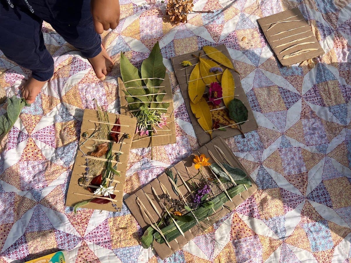 Brave Nature Collaborative - Activity