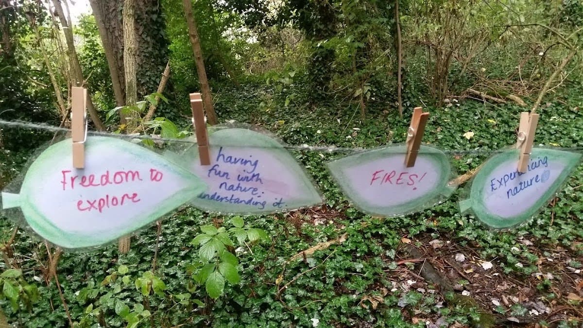 Cambridge Forest Schools - Atmosphere