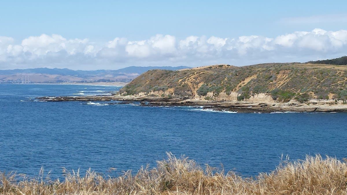 Camp KEEP (Kern Environmental Education Program) - Hero/Card