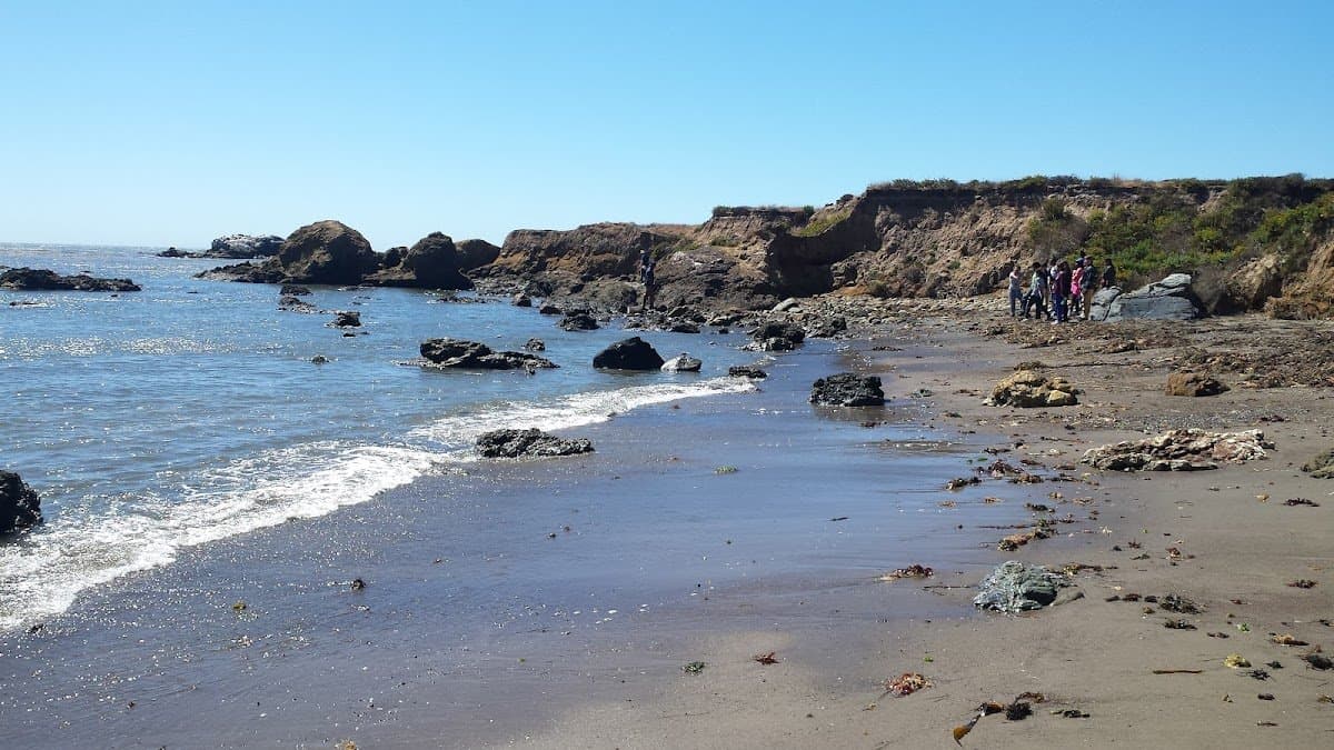 Camp KEEP (Kern Environmental Education Program) - Activity