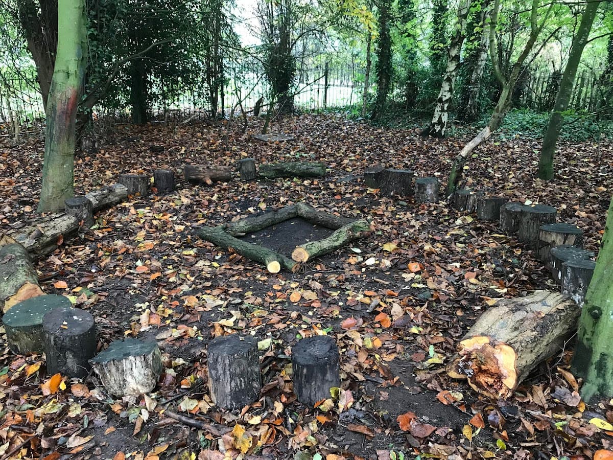 Cheshire Forest School - Activity
