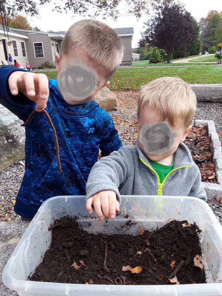 Chesterbrook School of Natural Learning - Activity