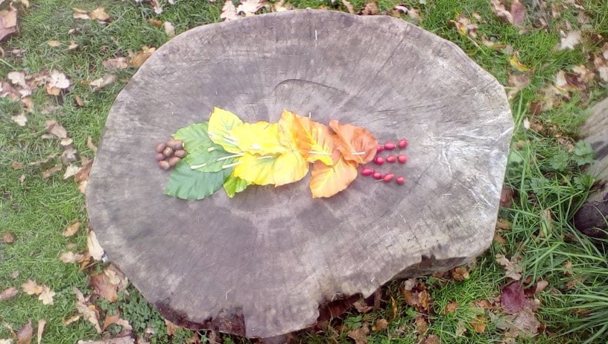 Chevin Forest School - Activity