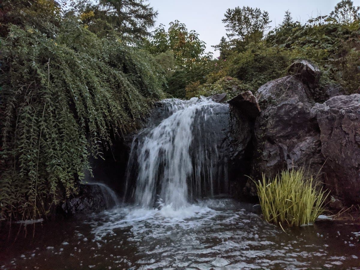 Chicago Botanic Garden Youth Programs - Activity