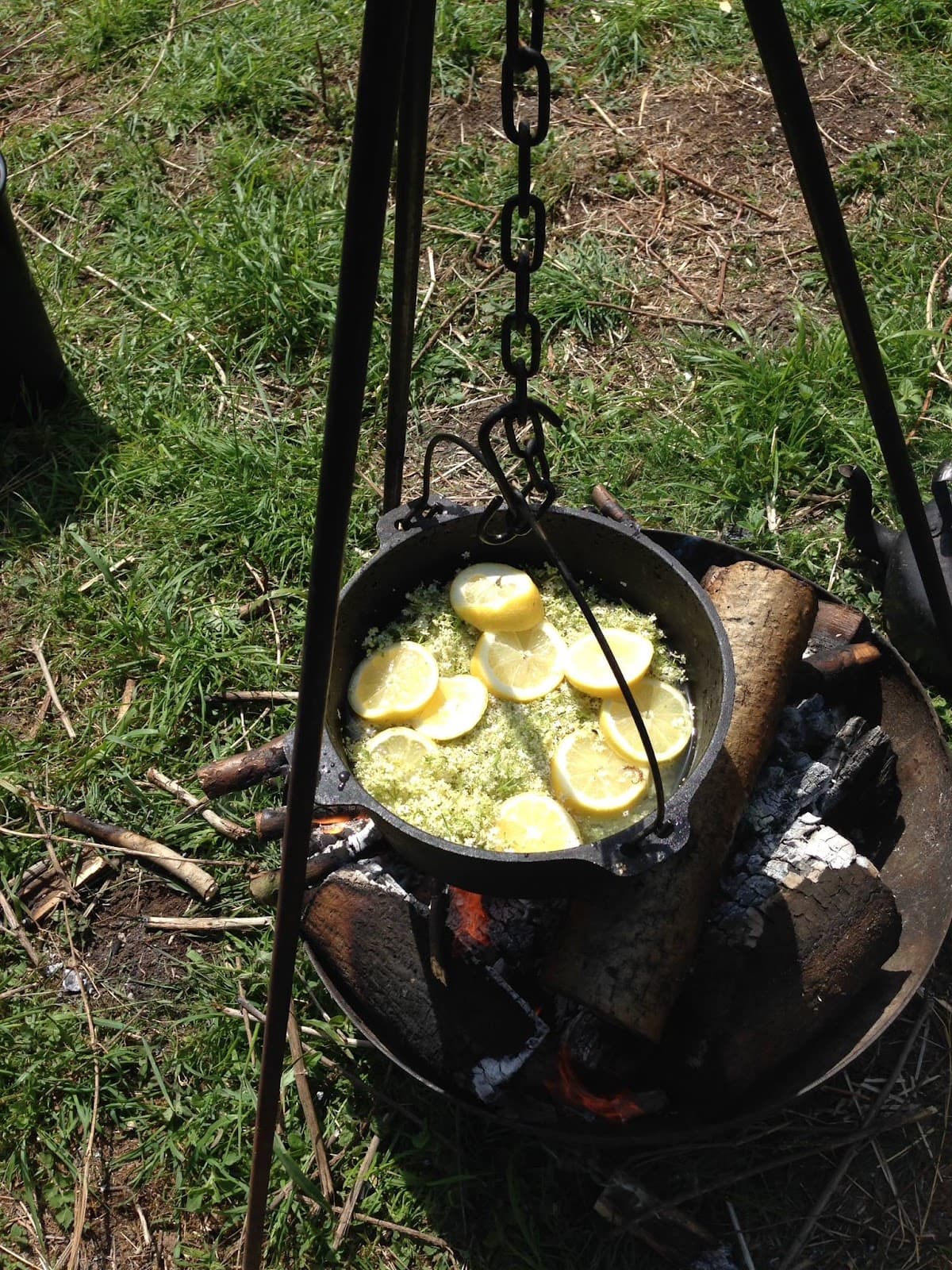 Chichester Forest Schools - Activity