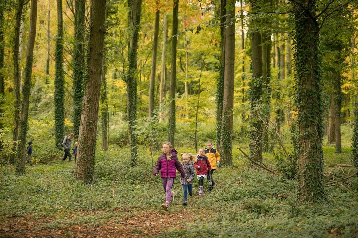 Chichester Forest Schools - Atmosphere