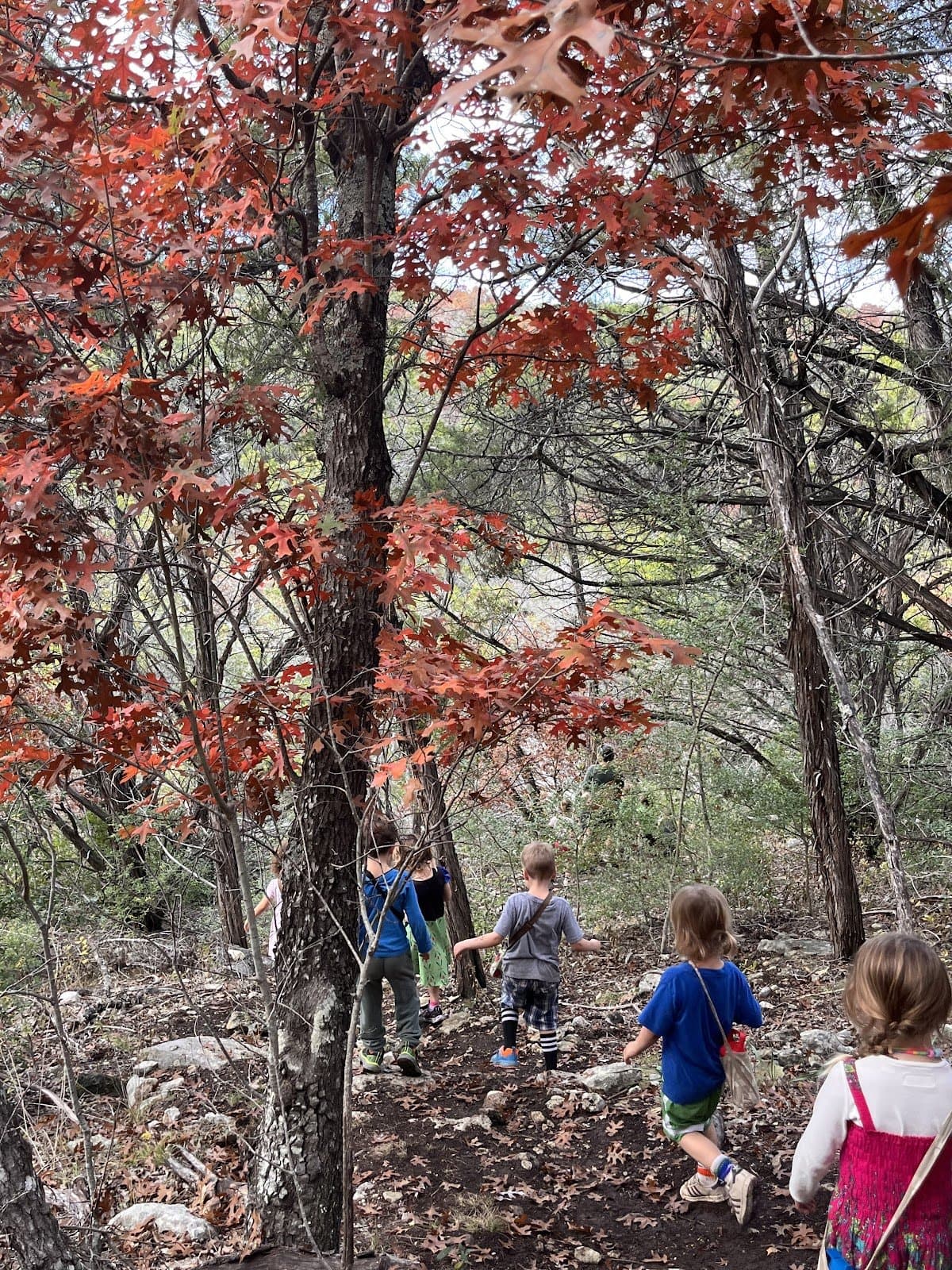 Children's Discovery Center - Activity
