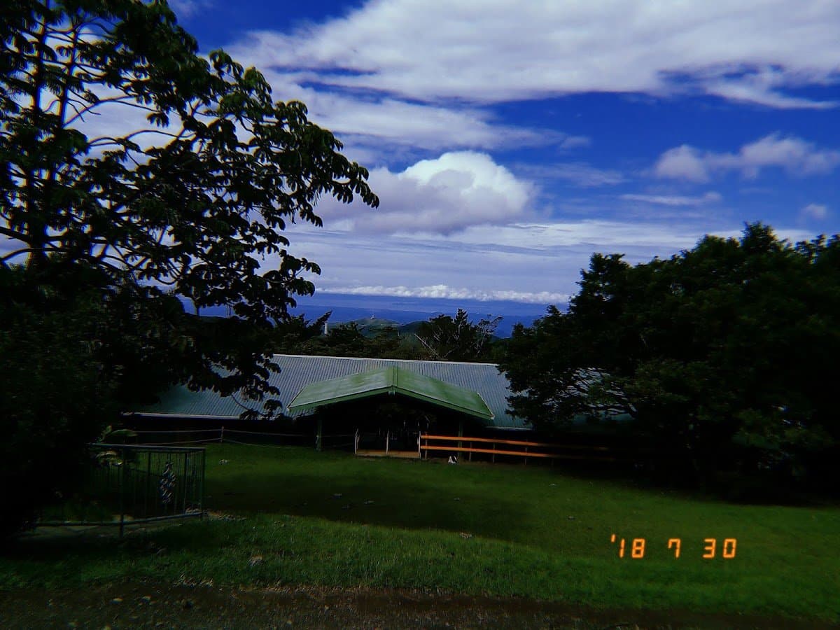 Cloud Forest School (CREATIVE Education Center) - Activity