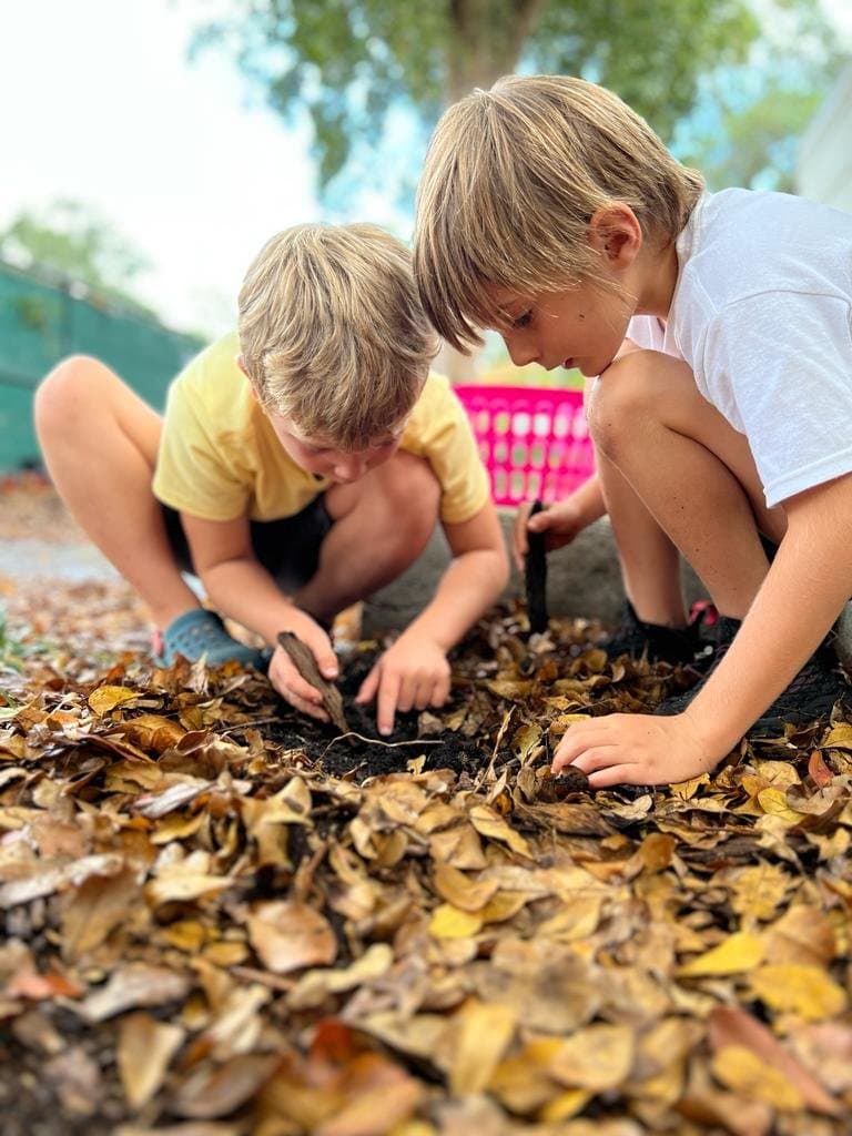Cocoplum Nature School - Activity