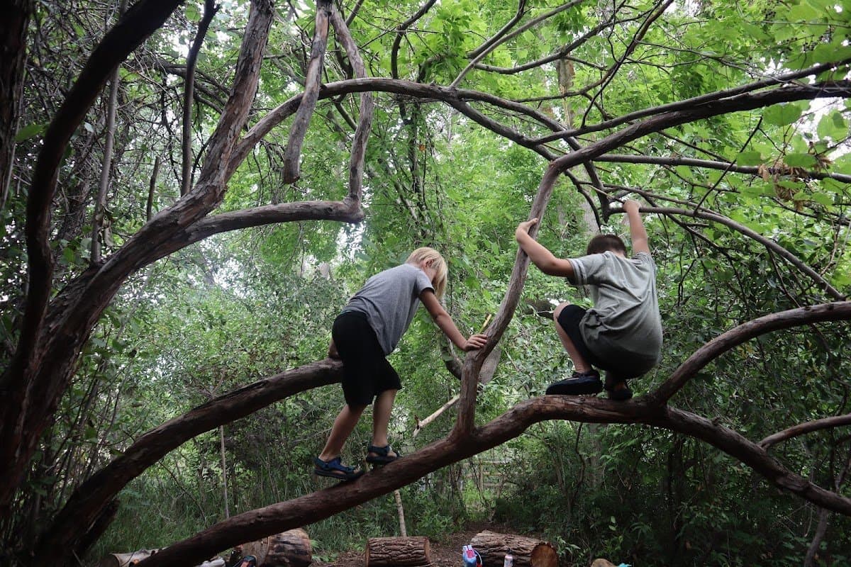 Down to Earth Nature School - Hero/Card