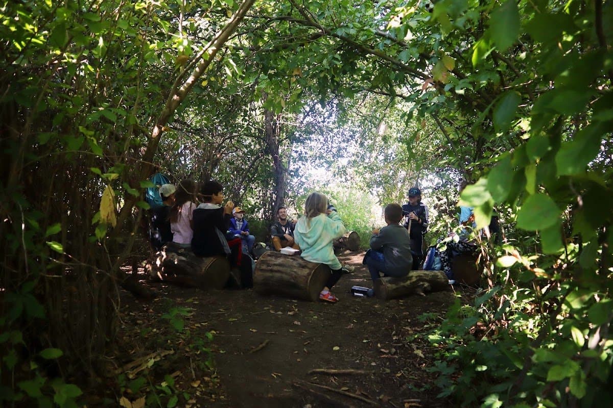 Down to Earth Nature School - Activity