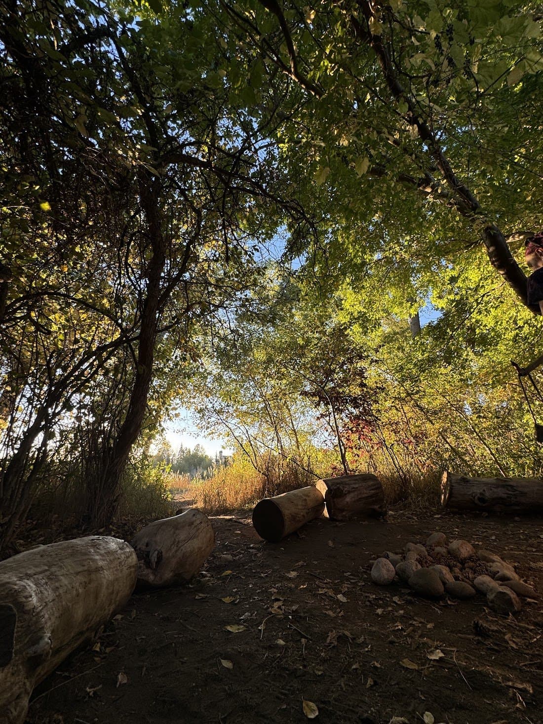 Down to Earth Nature School - Atmosphere