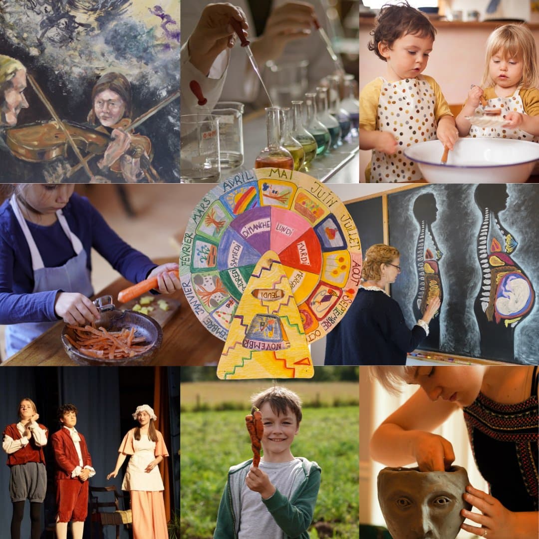 Edinburgh Steiner School - Activity