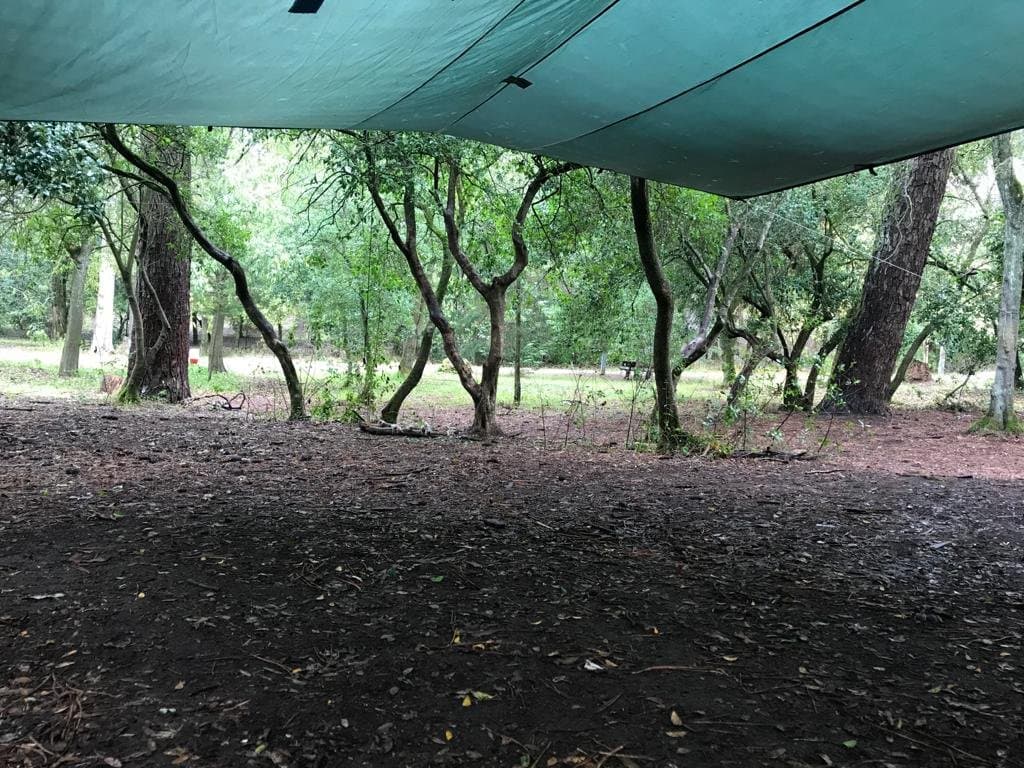 Escola Lá Fora - Hero/Card