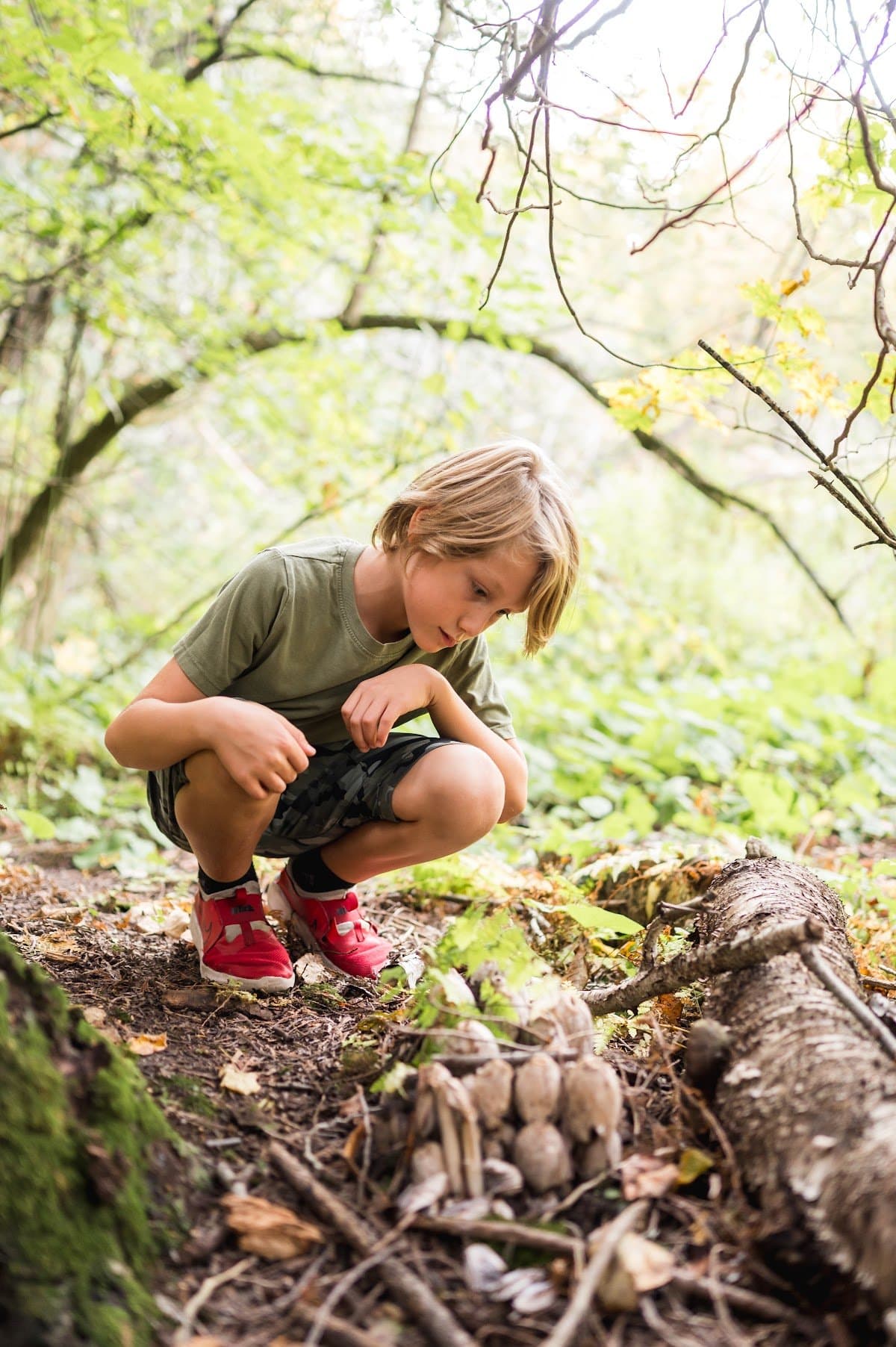 Eunoia Forest School - Activity