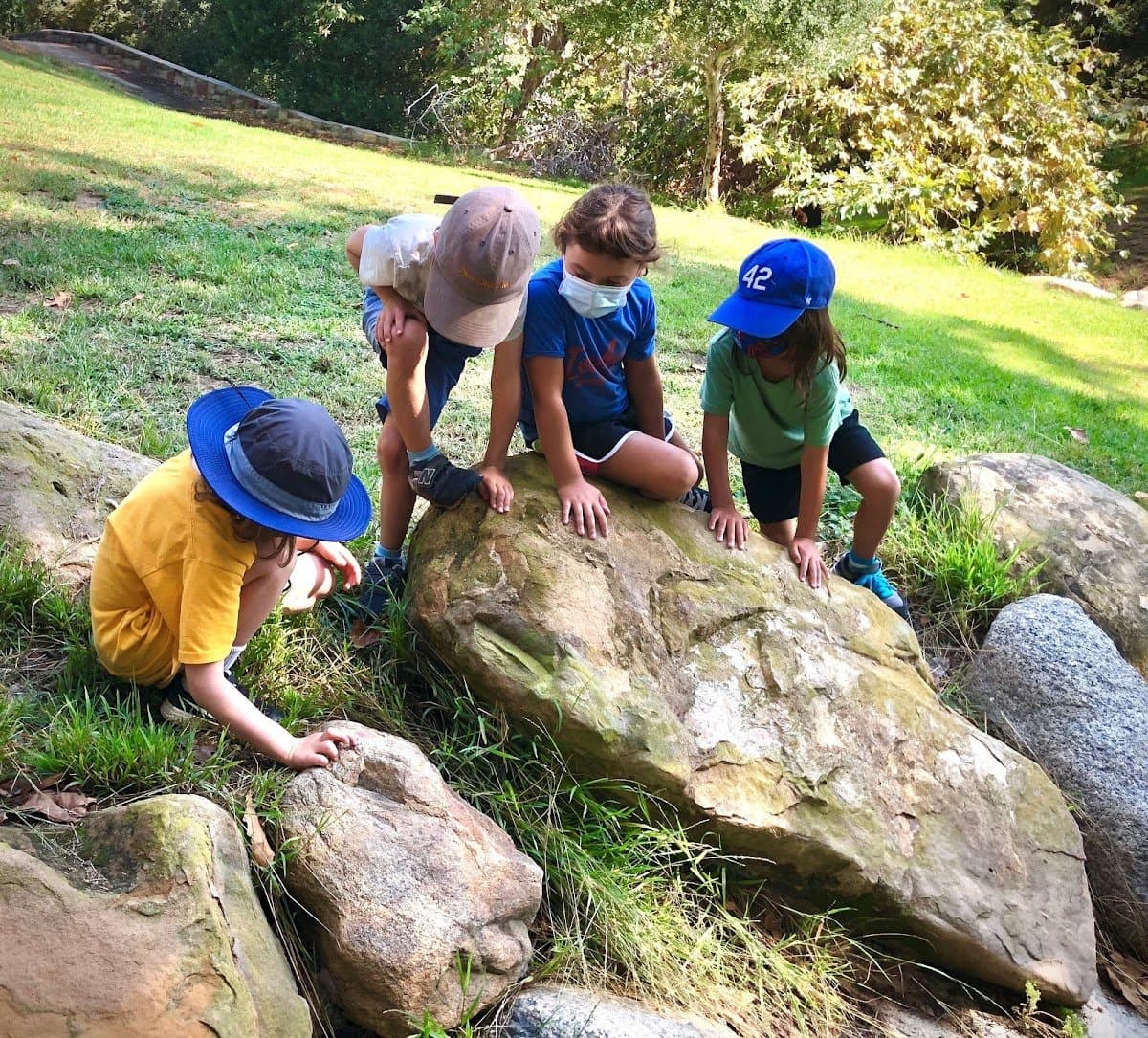 Everlasting Education - Activity