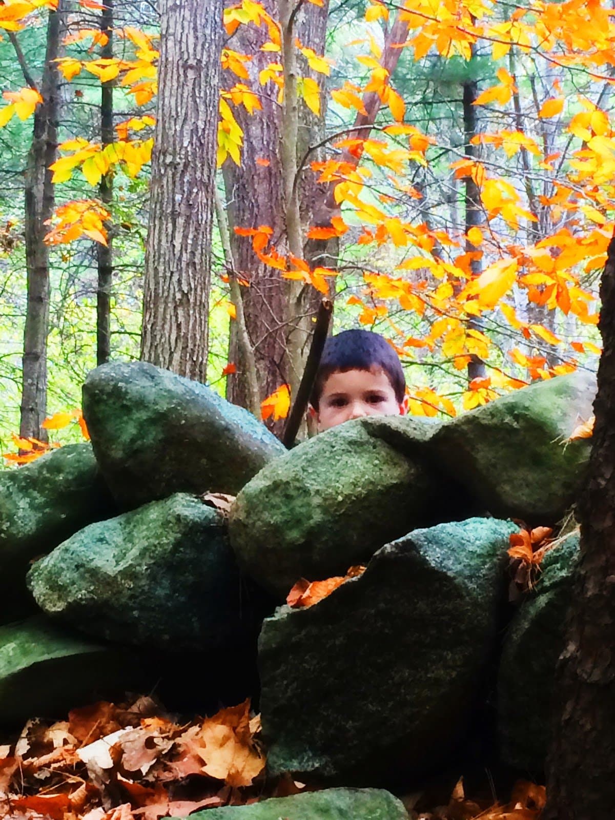 Eyes of the World Nature Immersion - Hero/Card