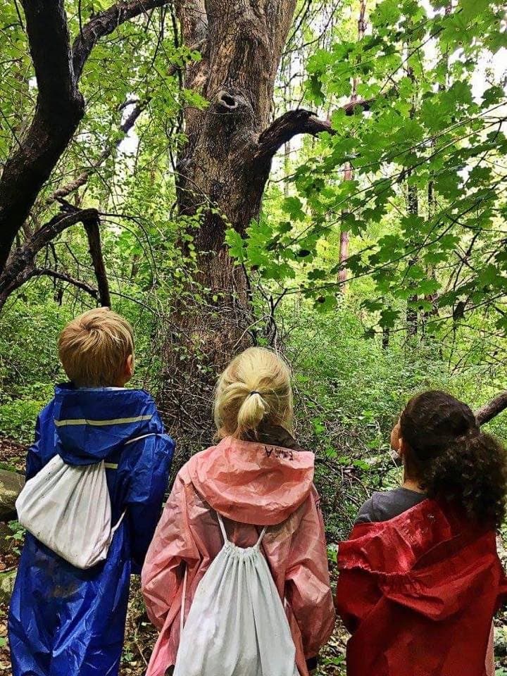 Eyes of the World Nature Immersion - Activity