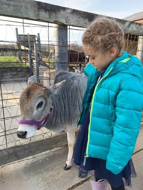 Farm & Nature Discovery Preschool - Atmosphere