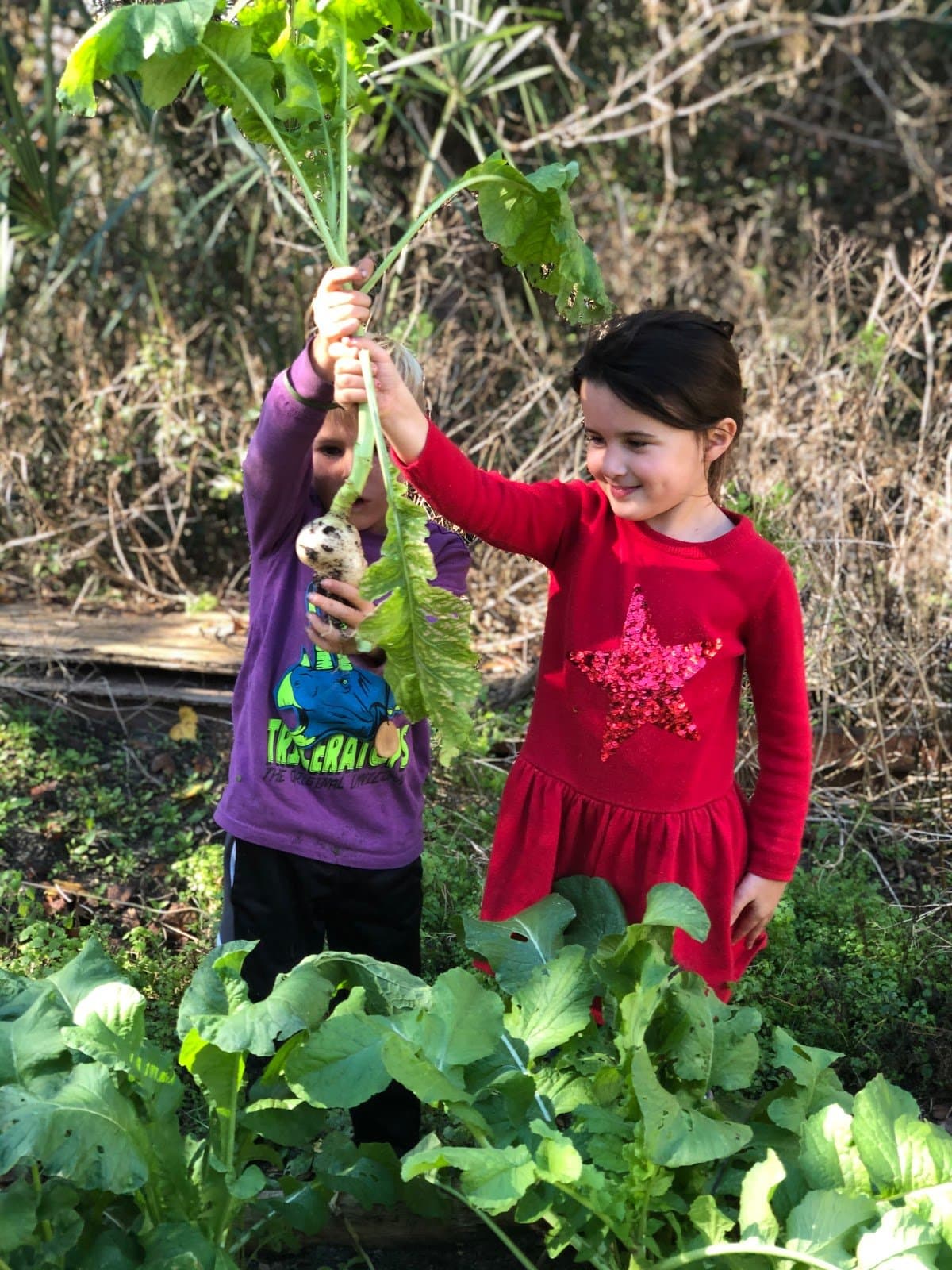 Flatwoods Forest School - Activity