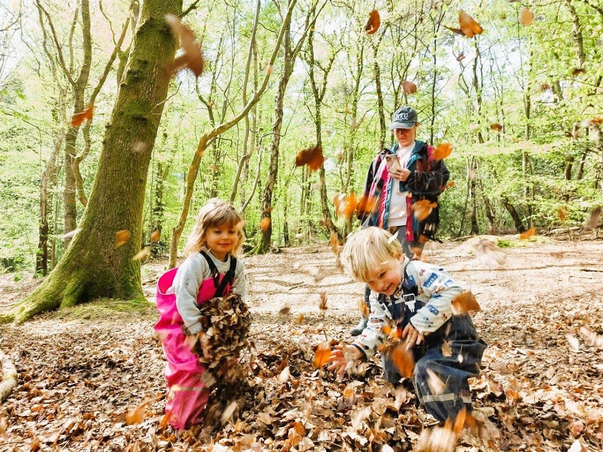 Forest Kindergarten - Activity