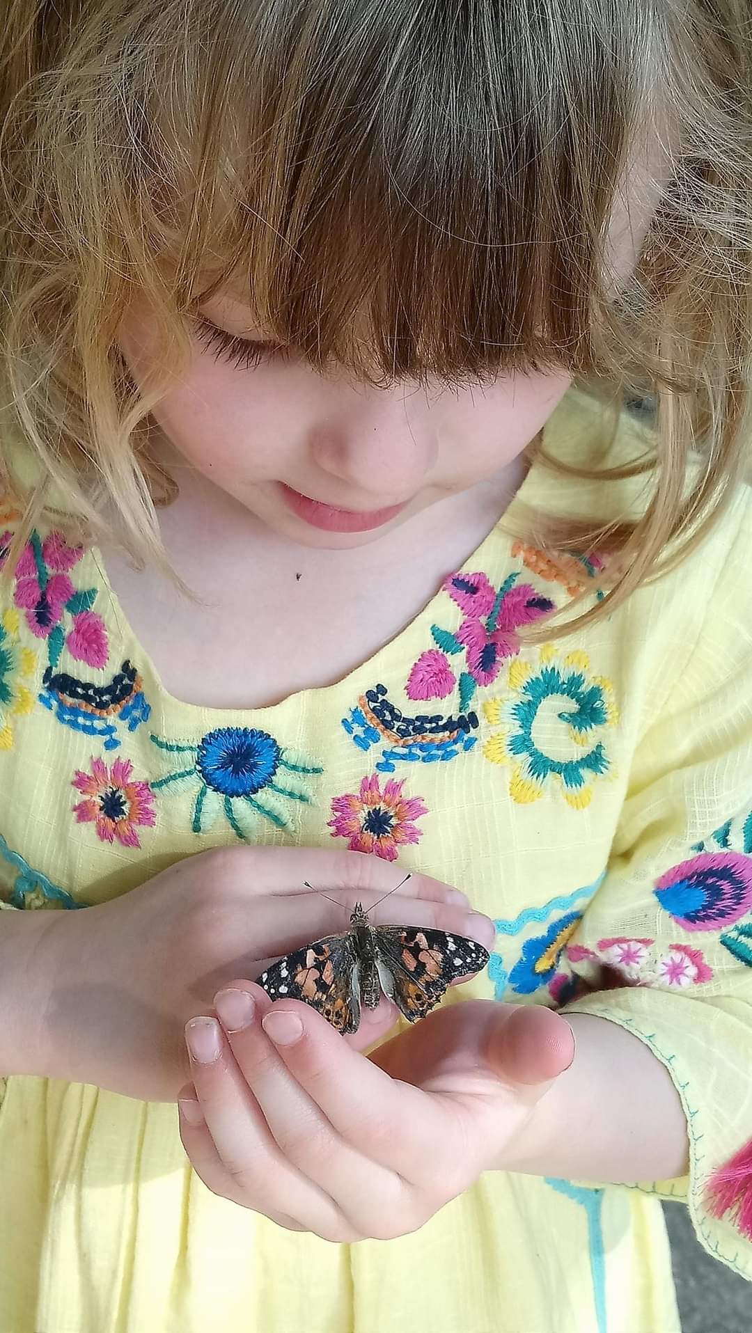 Forest School For Life - Atmosphere
