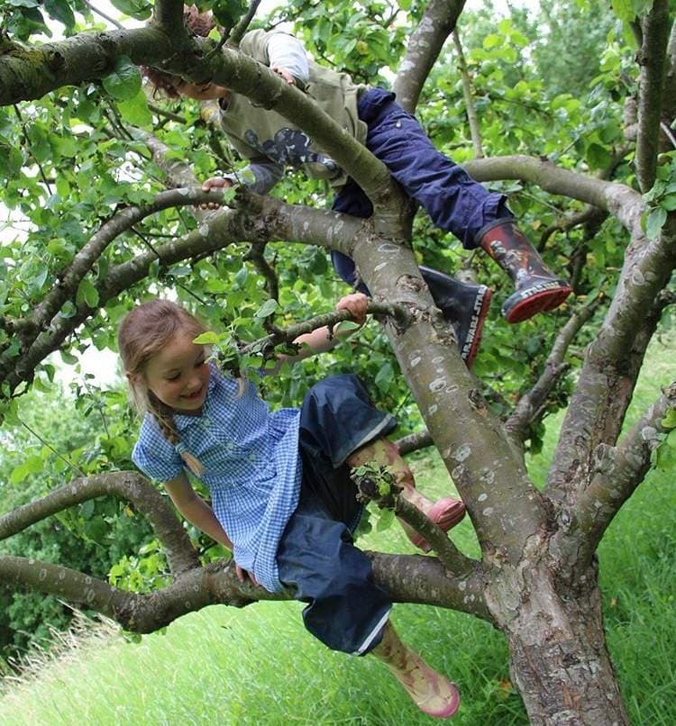 Forest School Learning Initiative - Hero/Card