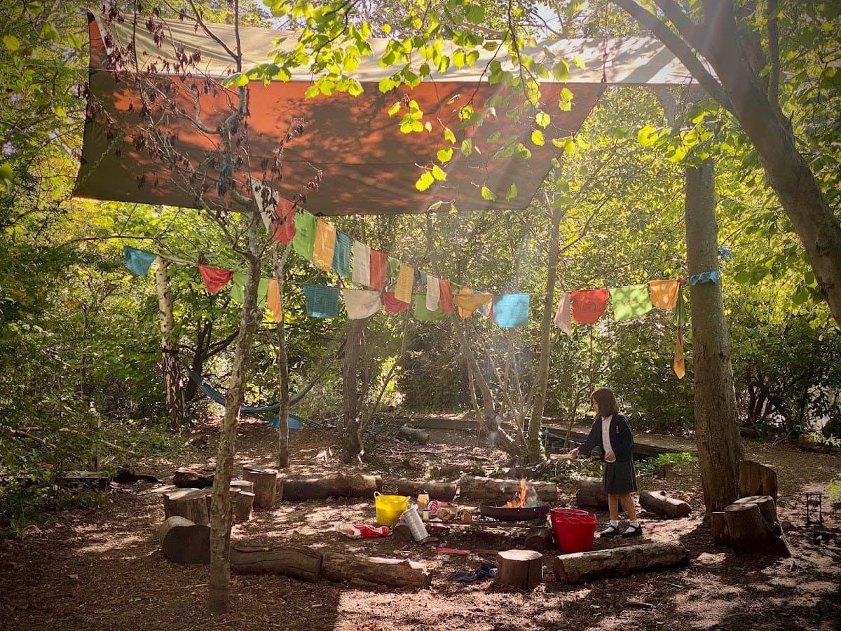 Forest Schooling UK - Hero/Card