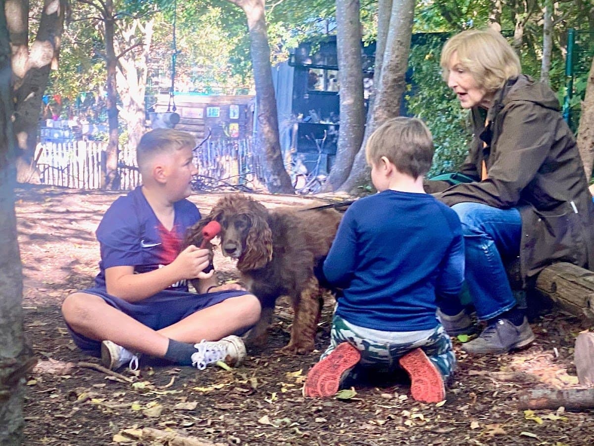 Forest Schooling UK - Activity