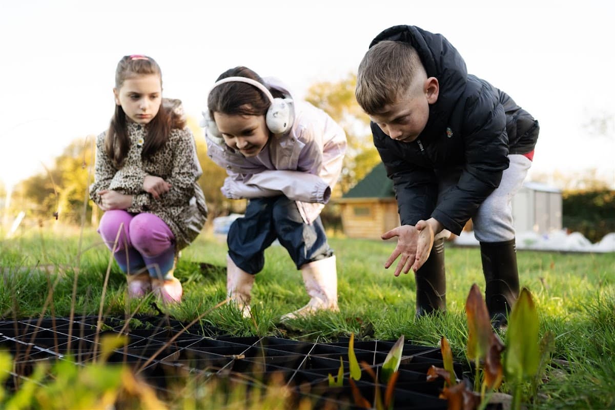Forever Green Forest School - Activity