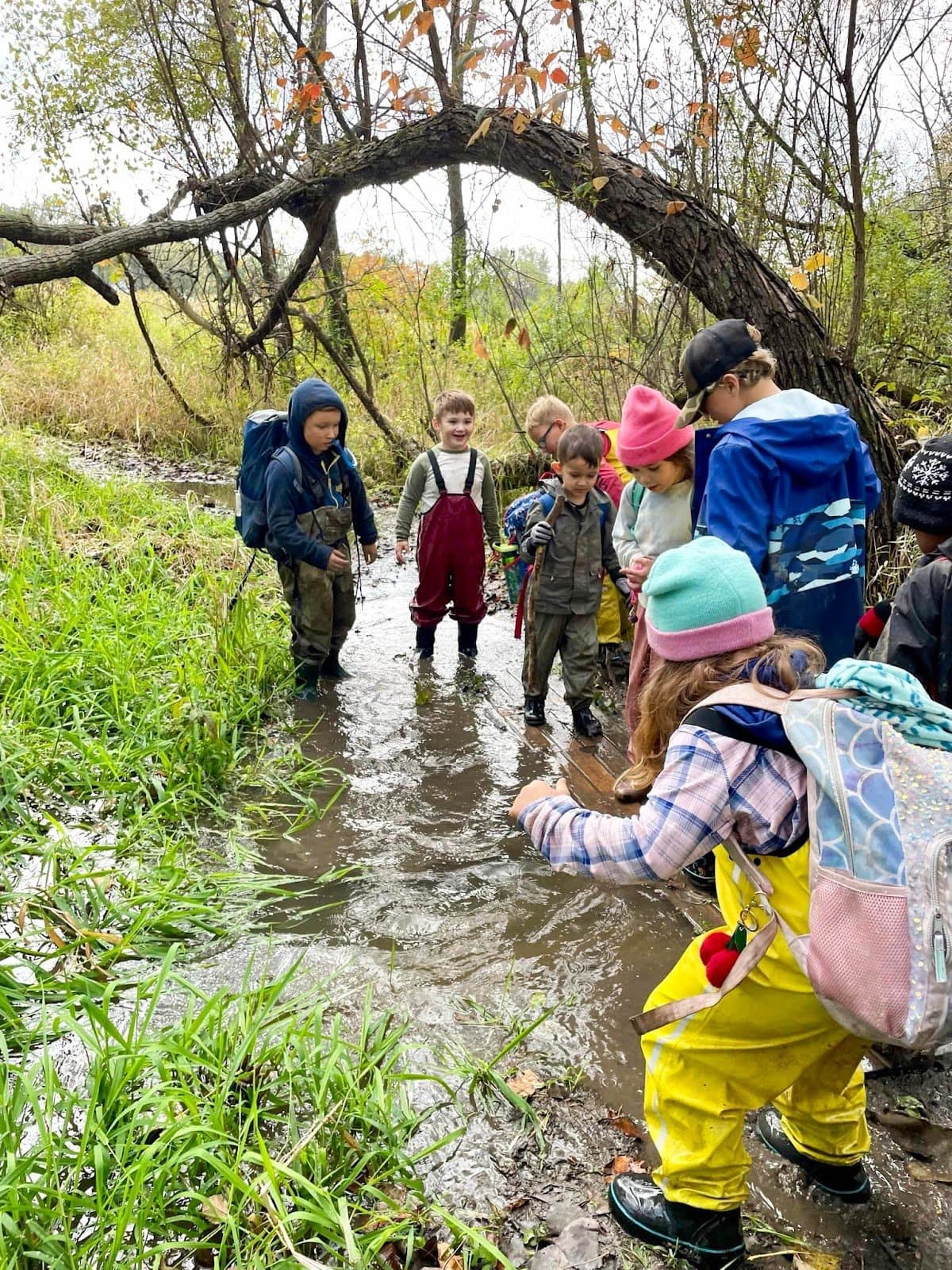 Free Haven Forest School - Activity