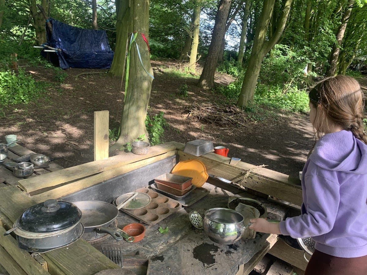 Freedom Forest School CIC - Activity