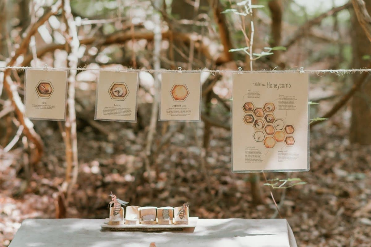 Golden Isles Nature School - Hero/Card