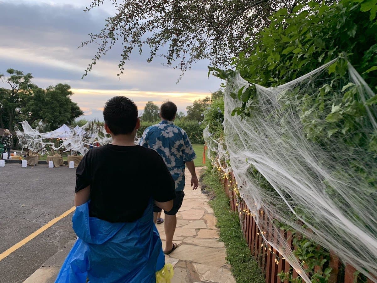 Haleakala Waldorf School - Activity