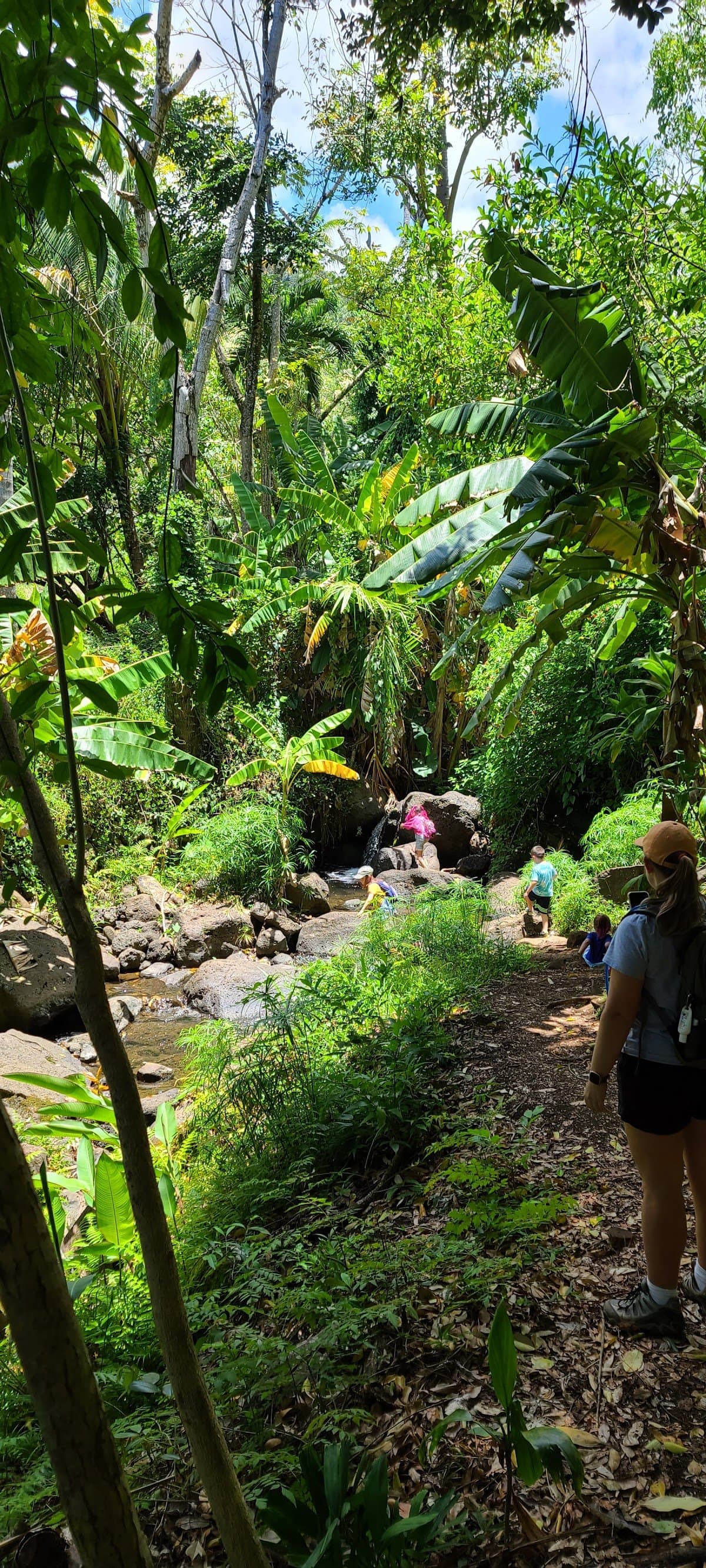 Hawaii Nature Center - Activity