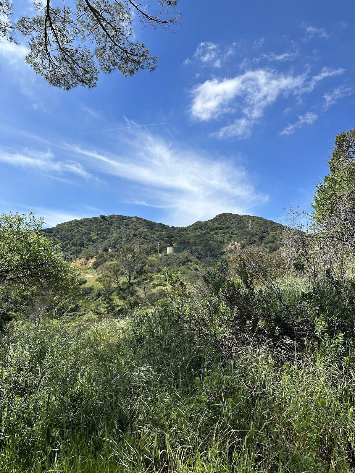 Heart Rock Forest School - Hero/Card