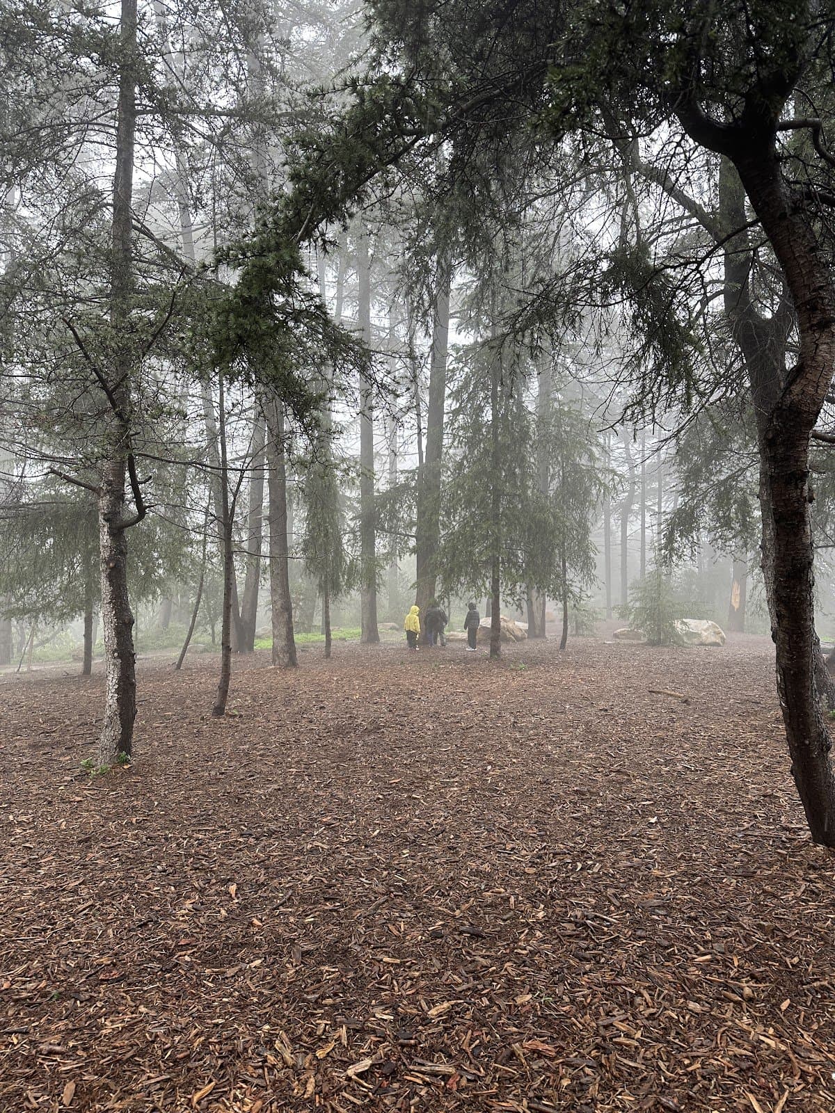 Heart Rock Forest School - Atmosphere