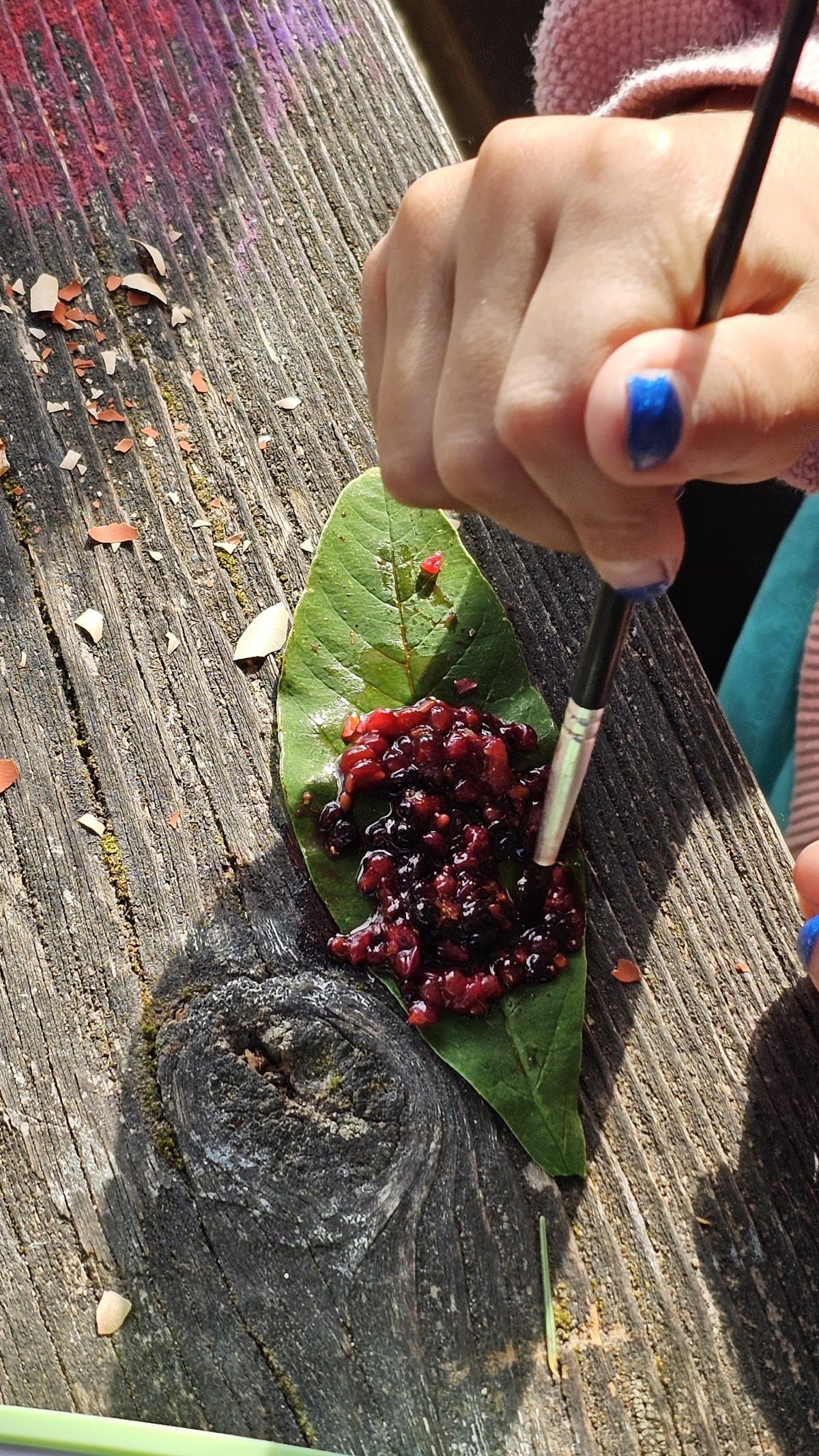 Heartwood Nature Programs - Activity