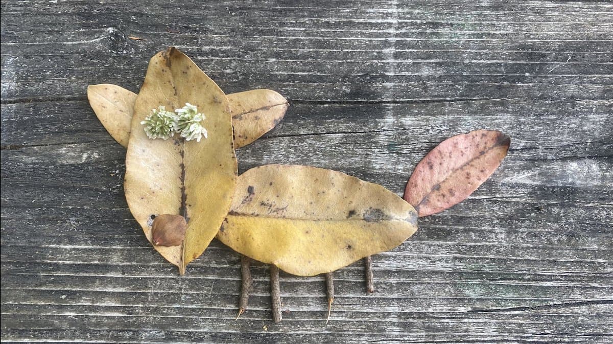 Heartwood Nature Programs - Atmosphere