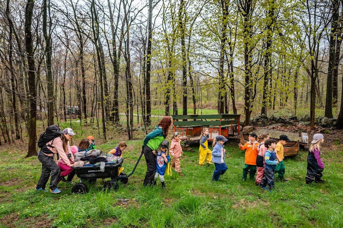 Heartwood Nature School - Atmosphere
