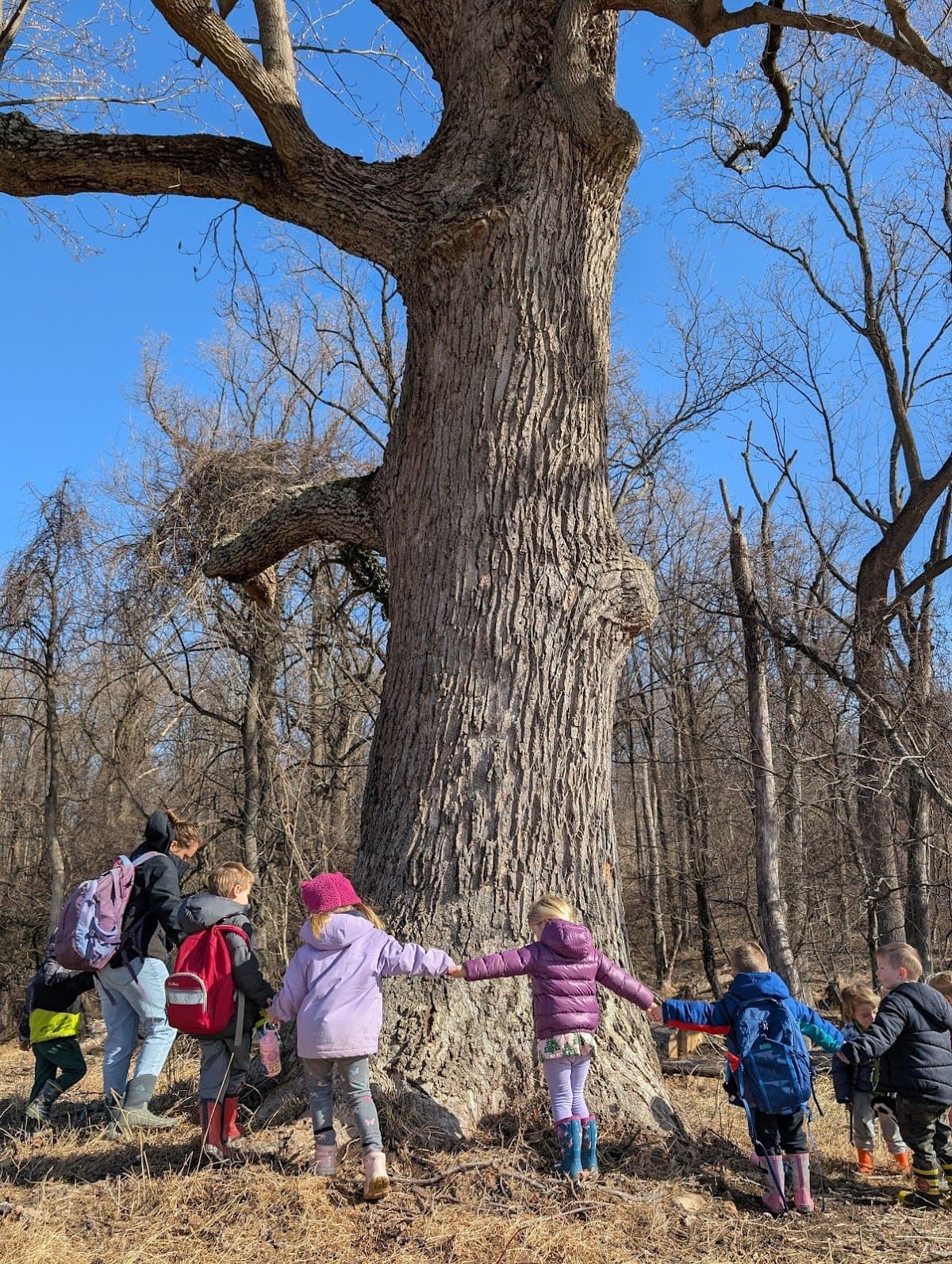 Howard County Conservancy Nature Preschool - Activity